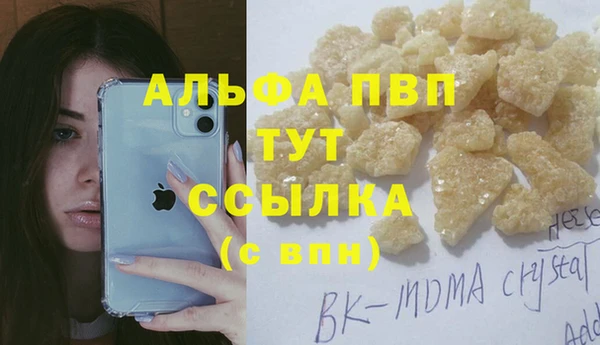 ECSTASY Белокуриха
