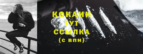 прущий лед Богданович