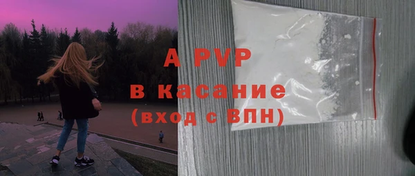 ECSTASY Белокуриха