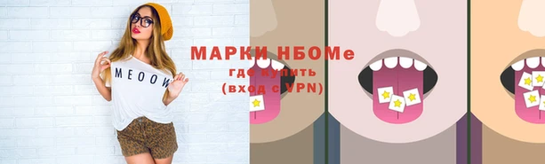 ECSTASY Белокуриха